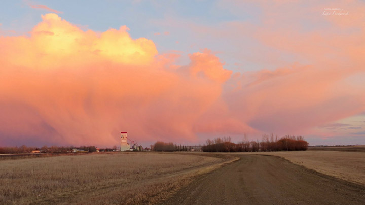 April 8: Lisa Frederick took this Your Saskatchewan photo in Milestone.