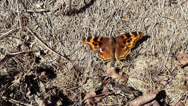 April 12: This Your Saskatchewan photo was taken in Wadena by Fred Ponto.