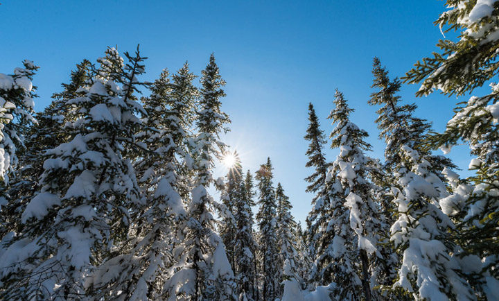 April 19: Dre Erwin took this Your Saskatchewan photo at Pinehouse.