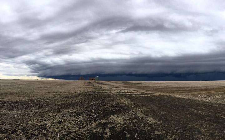 April 21: This Your Saskatchewan photo was taken near Regina by Craig Boehm.