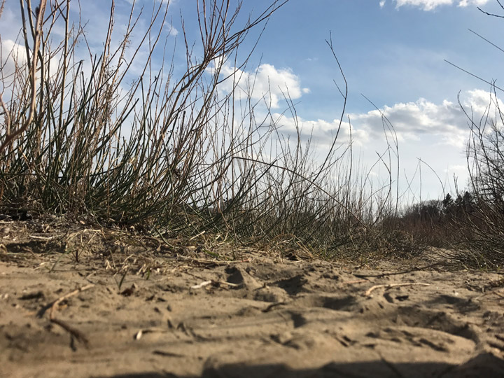 April 24: Kyriie Martell took this Your Saskatchewan photo in Saskatoon.