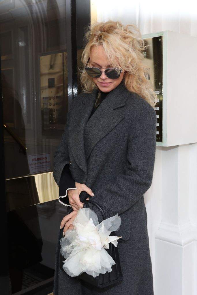 Pamela Anderson on her relationship with Julian Assange: ‘He’s such a kind, gentle person’ - image