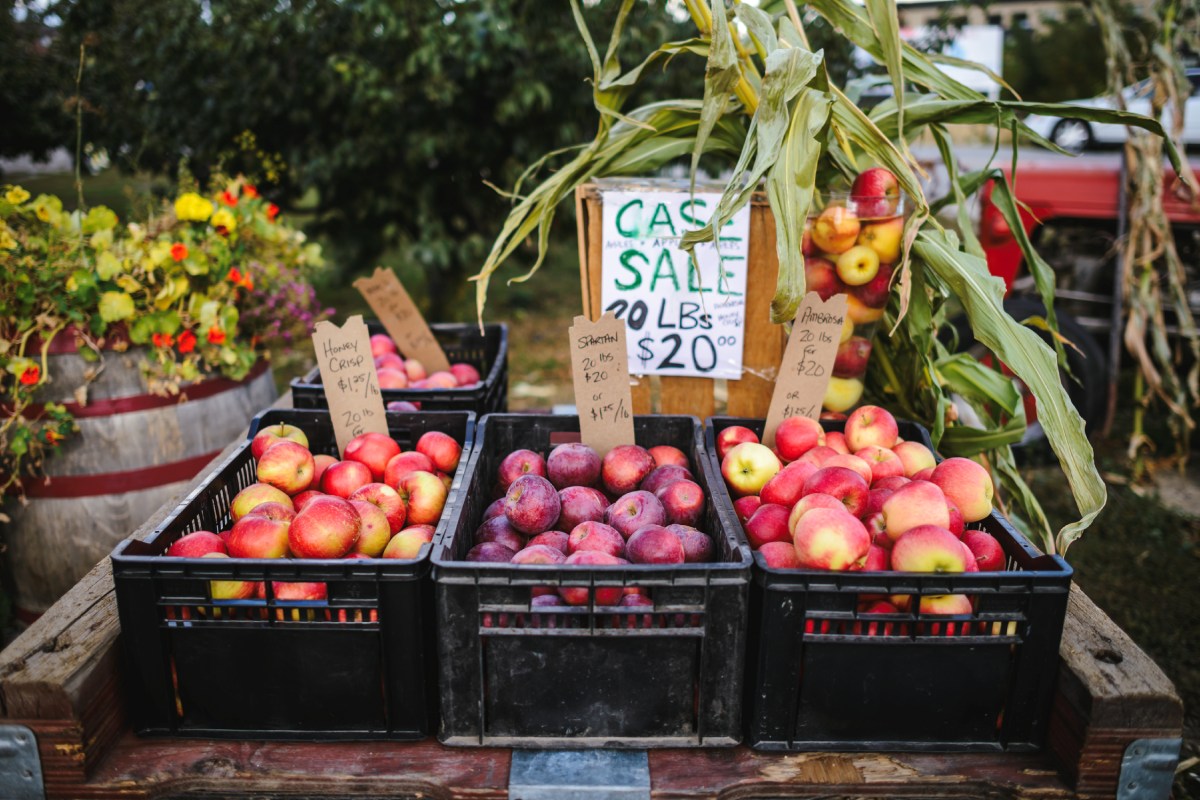 Apples at a fruit stand in West Kelowna, British Columbia.