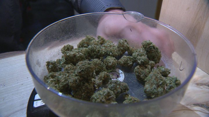 The Residential Tenancies Amendment Act 2017 will give landlords the right to create rules against possessing, selling and using marijuana inside rental properties.