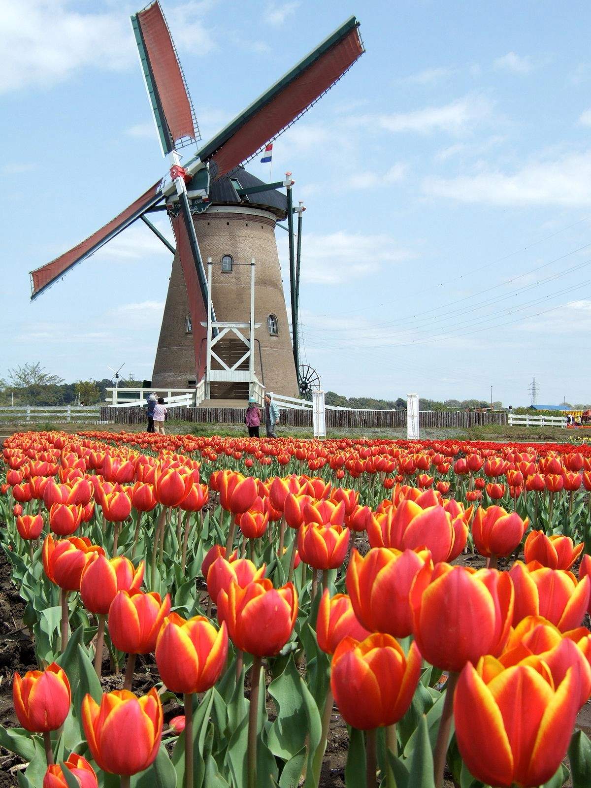 Dutch Spring Market - image