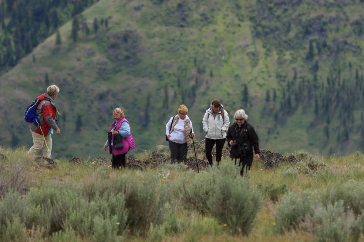 Meadowlark Nature Festival - image