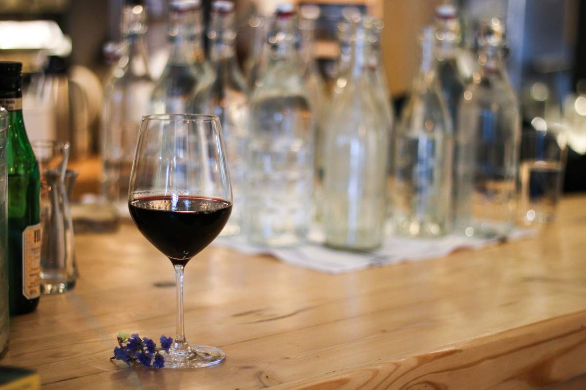 Farmer’s Apprentice Benefit Dinner for Shalefield Organic Gardens - image