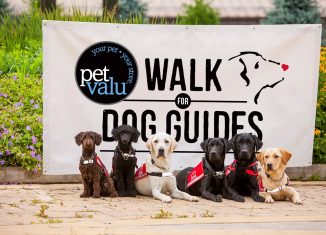Pet Valu Walk for Dog Guides - image