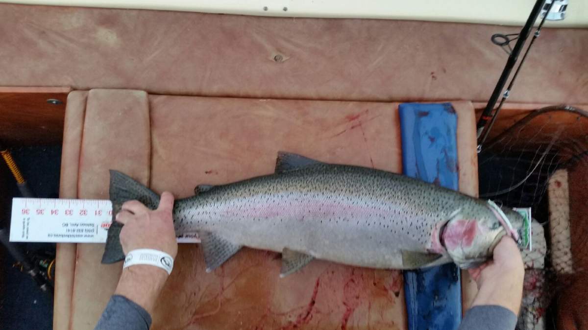 5th Annual Kelowna Catch and Release Fishing Derby - image