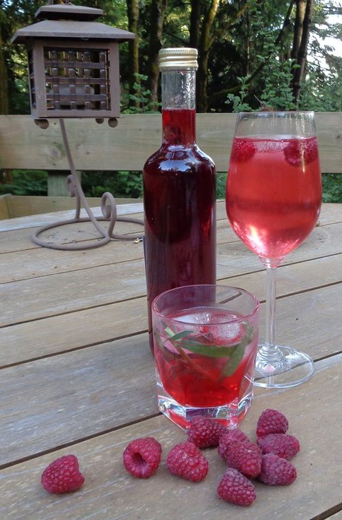 Natural Refreshing Cocktails - image