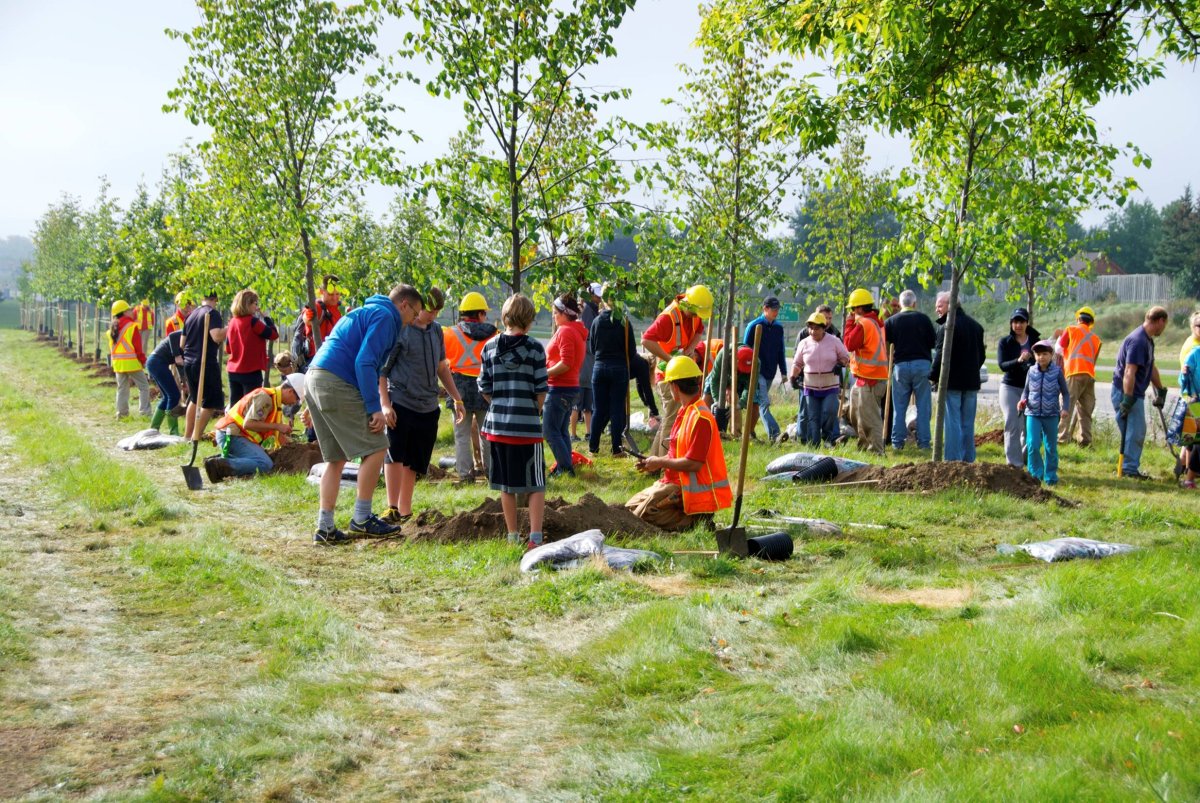 Volunteers at work at the final tree planting event.