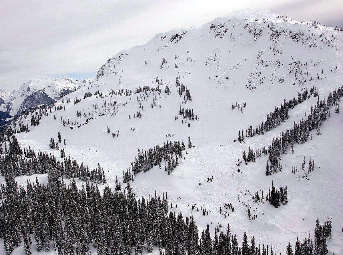 An aerial view of the area where a large avalanche occurred near Revelstoke, B.C., Sunday, March 14, 2010. The avalanche started near the top of the mountain and swept down the centre.THE CANADIAN PRESS/Jeff Bassett.