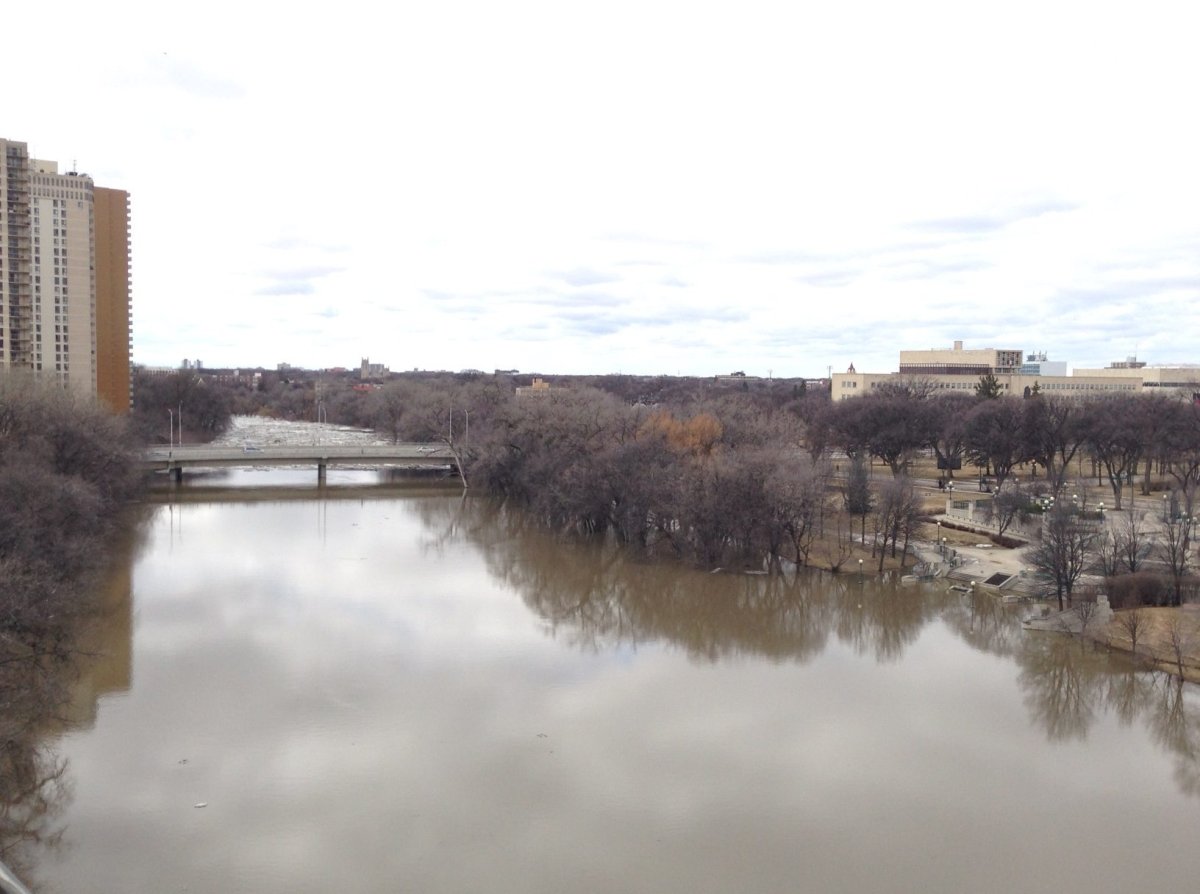 Some floodwater receding in Manitoba, but Assiniboine River is on the rise - image