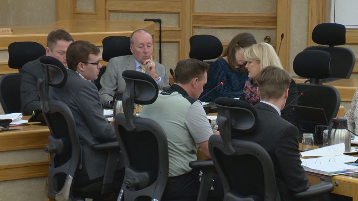 Backyard chicken pilot project defeated in Saskatoon - image