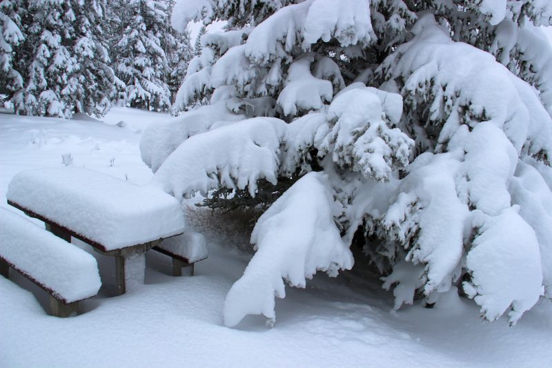 Snow at Tunnel Mountain in Banff National Park on Tuesday, April 25, 2017.