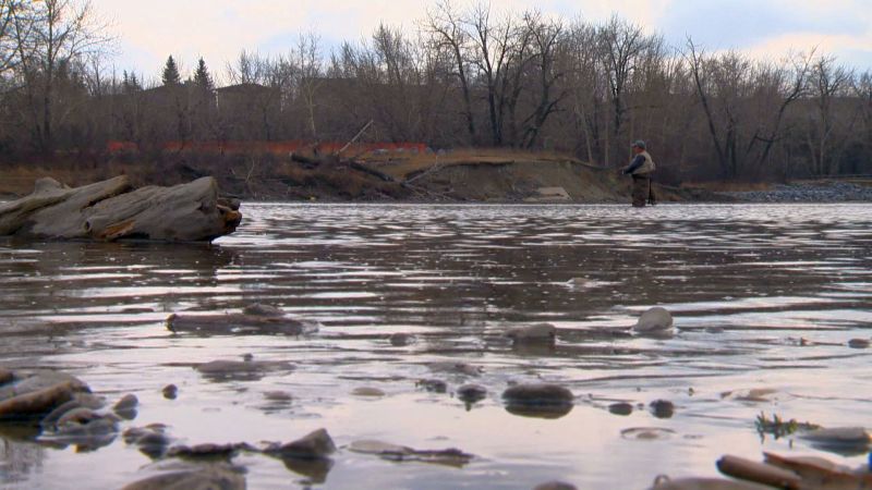 A man fishes on the Bow River. 