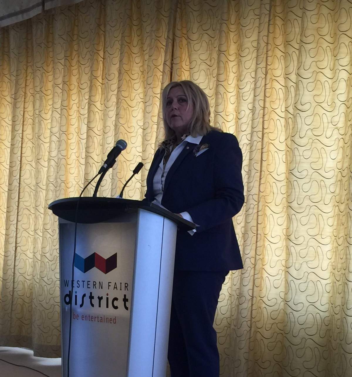 Former federal MP Susan Truppe to run for provincial Tories - image