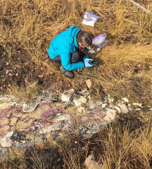 University of Calgary student Jessica Ellis collects a sample of fossil groundwater in northeastern Alberta in an Oct., 2016 handout photo. 