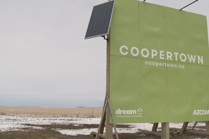 Regina city council approves pesticide regulation research, first zoning amendment for Coopertown