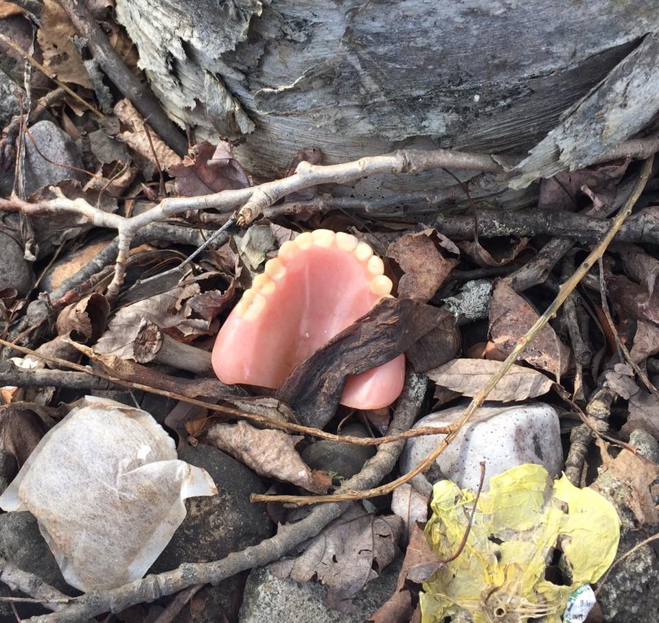 The photo of the denture that Maryann Ritcey posted on her store's Facebook page on April 21, 2017.