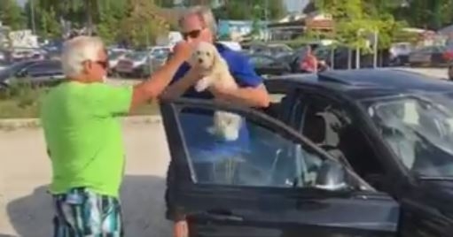 A video of an unknown man smashing the rear window of a BMW to remove a distressed dog has been viewed over 275,000 times on Facebook.