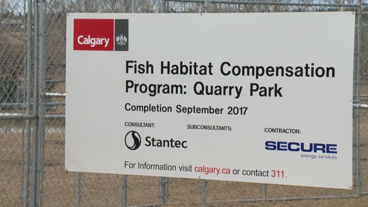 Site of fish habitat compensation project at Quarry Park, Calgary