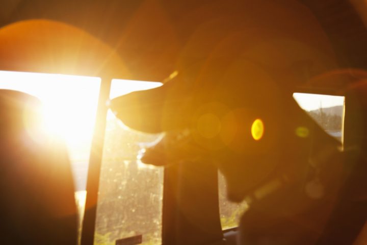 The Saskatoon SPCA has received over 50 calls about animals being left alone in vehicles on warm days so far this year.