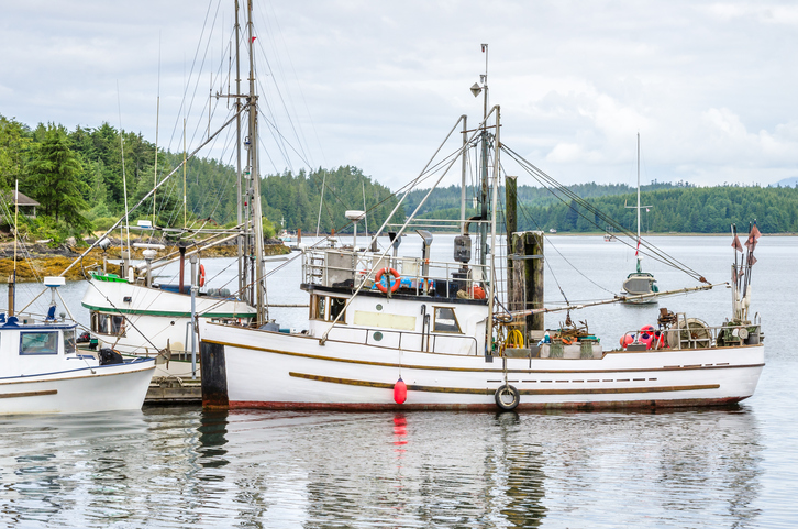 Photo of a fishing boat moored to a wooden jetty in Ucluelet harbour on a cloudy day.