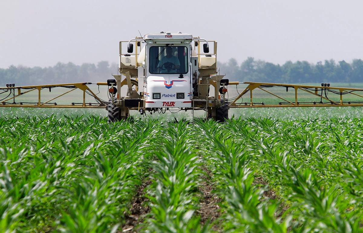 In this June 1, 2010 photo, central Illinois corn farmer Jerry McCulley sprays the weed killer glyphosate across his cornfield in Auburn, Ill.
