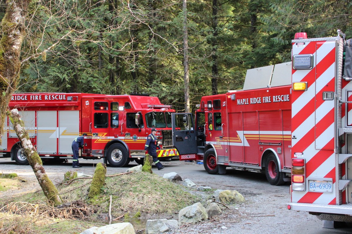 Ridge Meadows Search and Rescue crews on scene in Golden Ears Park on Sunday.