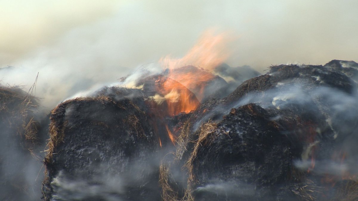 Hay bales on fire in southeast Regina Regina Globalnews.ca
