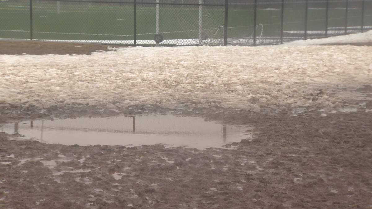 The off-leash dog park located at Halifax Mainland Common, pictured on April 6, 2017.