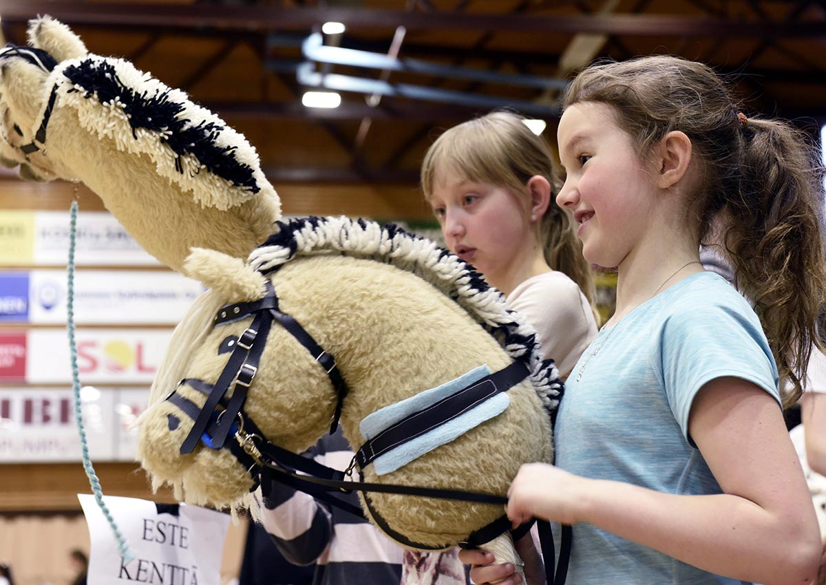 big w hobby horse