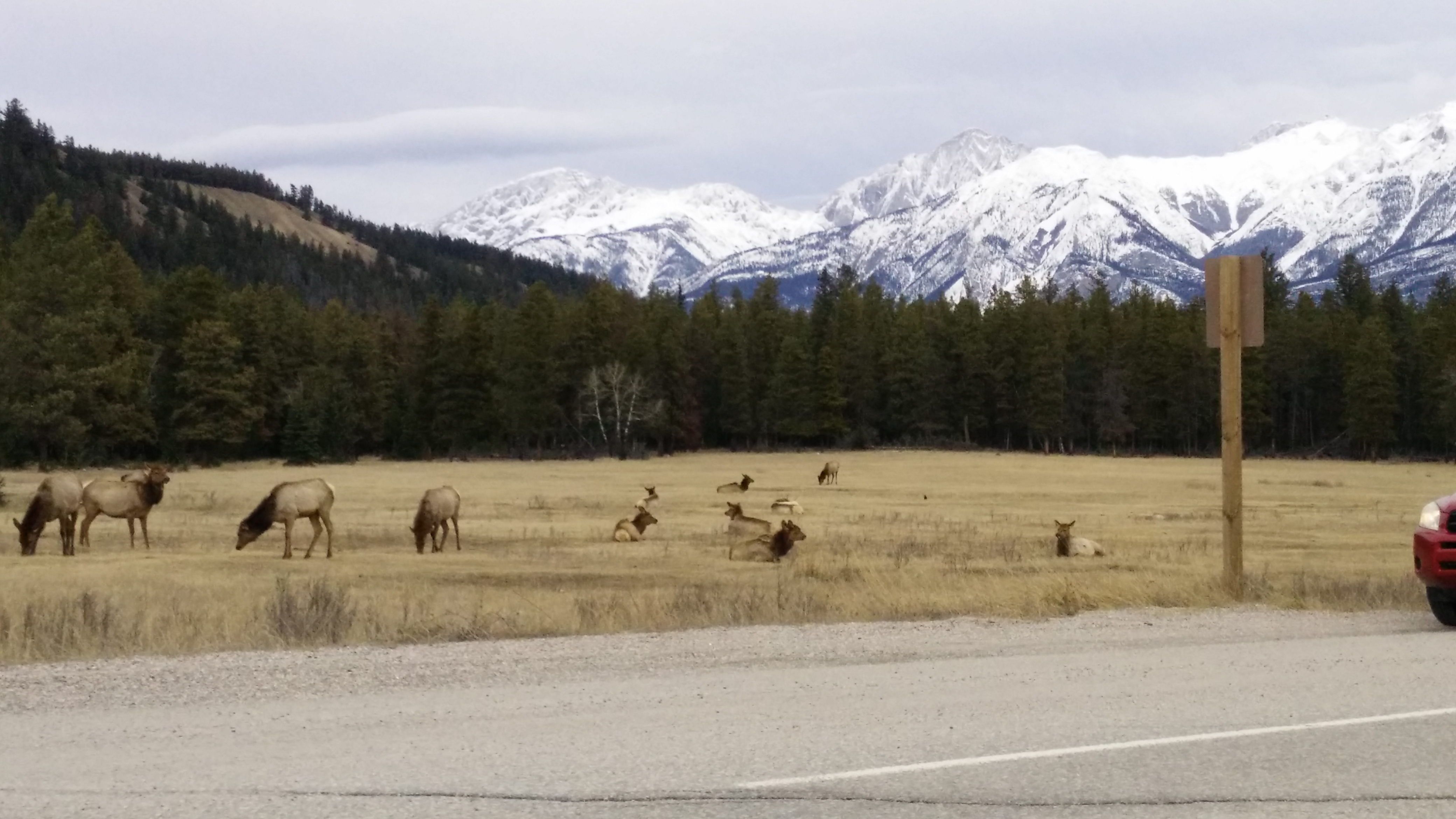 lost elk lodge jasper colorado