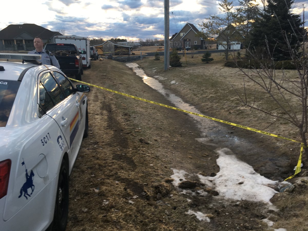 Few details in shooting that left 3 dead in East Selkirk Monday