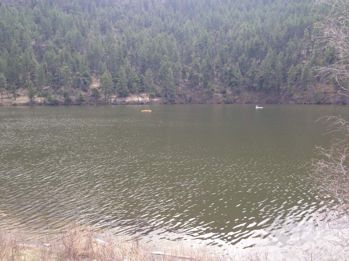 A 19-year-old Toronto man has died after drowning in Lake Simcoe on Saturday, July 1st. 