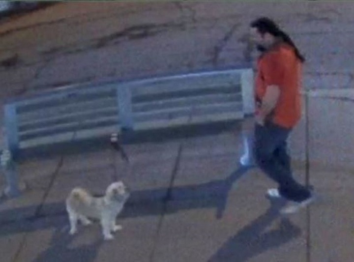 Security image of the male suspect wanted in connection with the theft of ‘Kobe’ the dog Wednesday in downtown Toronto. Toronto Police/Handouts