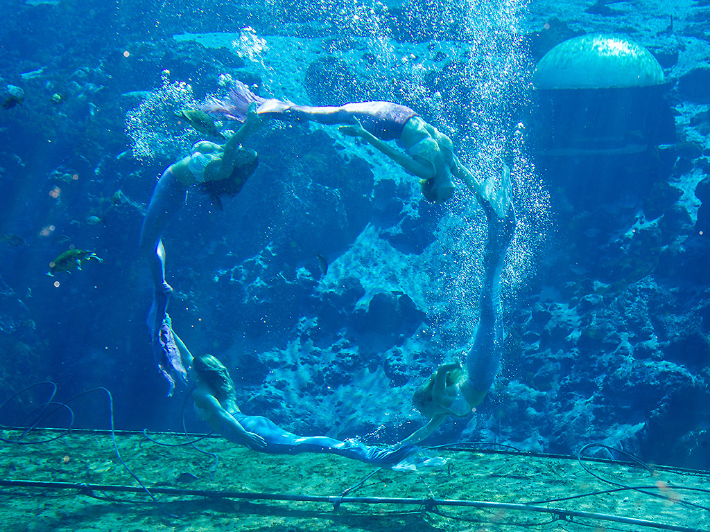 ‘Mermaids’ documentary: You’ll never look at mermaids the same again - image