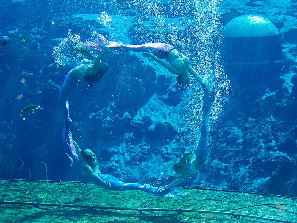 ‘Mermaids’ documentary You’ll never look at mermaids the same again