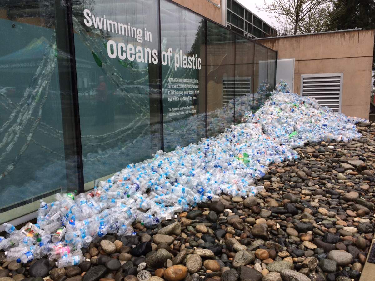 Vancouver Aquarium bans single-use plastic water bottles to advocate for plastic-free oceans - image