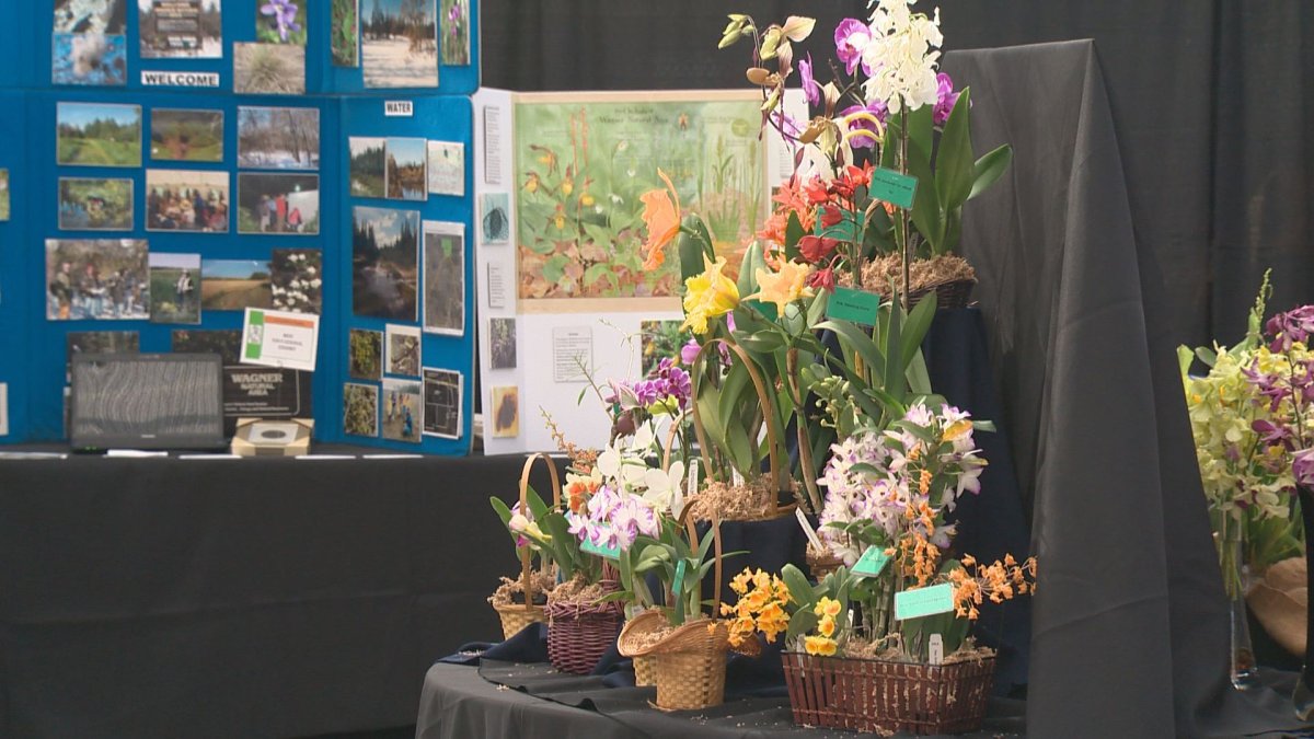 IN PHOTOS: Alberta Orchid Society celebrates 40th anniversary with