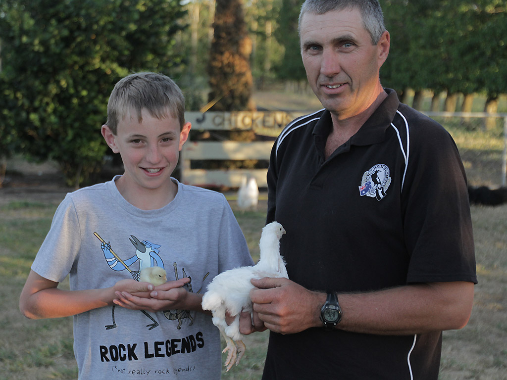 Competitive chicken pageantry is a thing, and there’s a documentary about it - image
