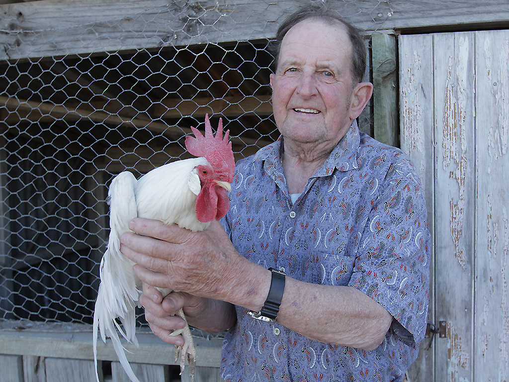Competitive chicken pageantry is a thing, and there’s a documentary about it - image