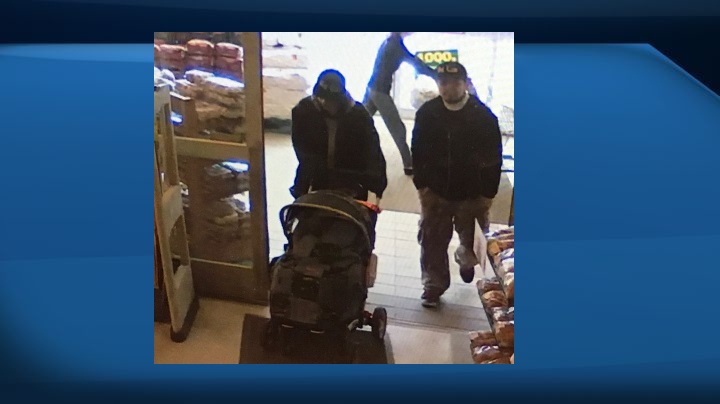 Edmonton police arrest persons of interest in toddler death | Globalnews.ca