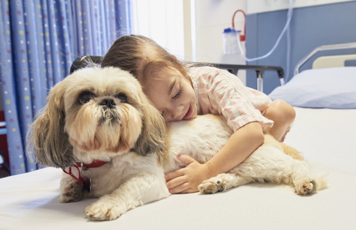 BC Children's Hospital gets 'pawsitive' boost to pet ...