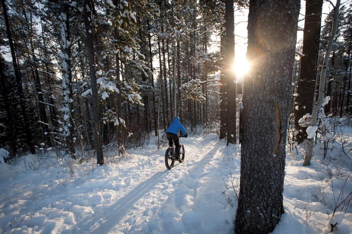 A person fat biking on the Ridgemont Trail in Fernie