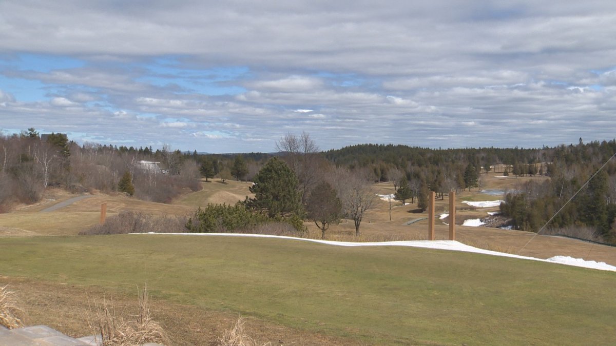 A cart was reported stolen from the Rockewood Park Municipal Golf Club.