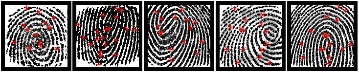 The images correspond to the top 5 partial fingerprints that were selected as MasterPrints from a fingerprint data set. Together, these 5 MasterPrints span different portions of the full fingerprint, which in turn increases the probability of falsely matching with a large number of partial fingerprints.