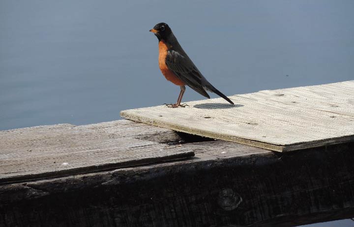 April 29: This Your Saskatchewan photo was taken by Carol Neabel at Cochin.