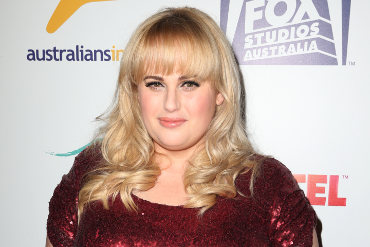 Rebel Wilson is suing an Australian publisher over defamatory articles - image